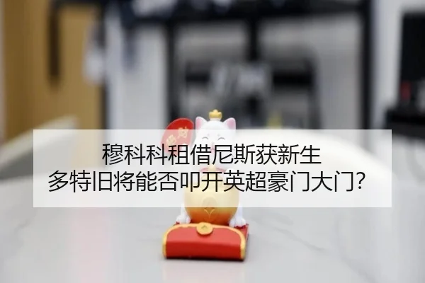 mu-ke-ke-zu-jie-ni-si-huo-xin-sheng-duo-te-jiu-jiang-neng-fou-kou-kai-ying-chao-hao-men-da-men-3-214.jpg